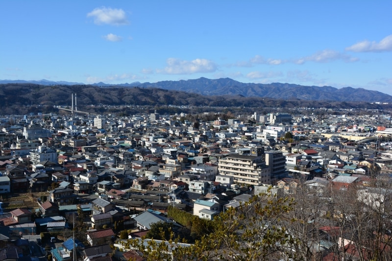 羊山公園の見晴らしの丘の眼下に広がる秩父市街地