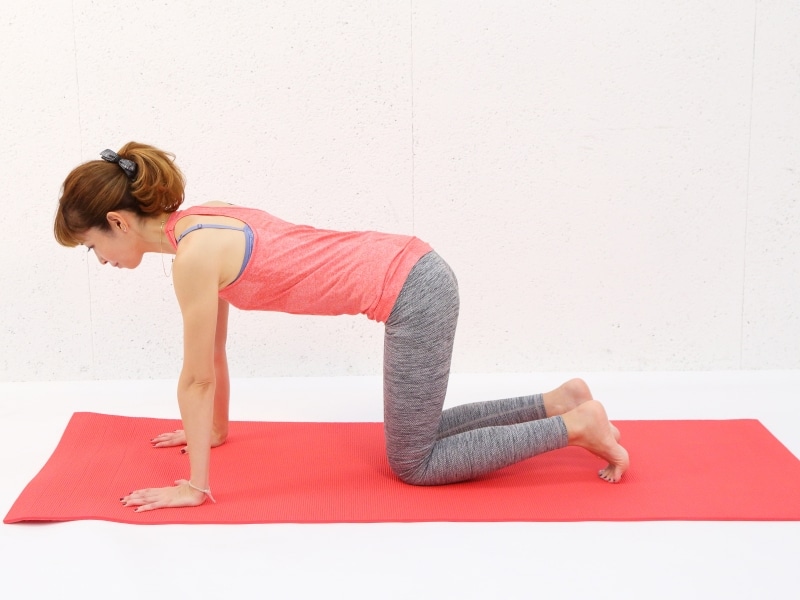 動作1undefined四つん這いの姿勢になったら、肩甲骨の間の背骨を押し上げるイメージでお腹に力を入れましょう。