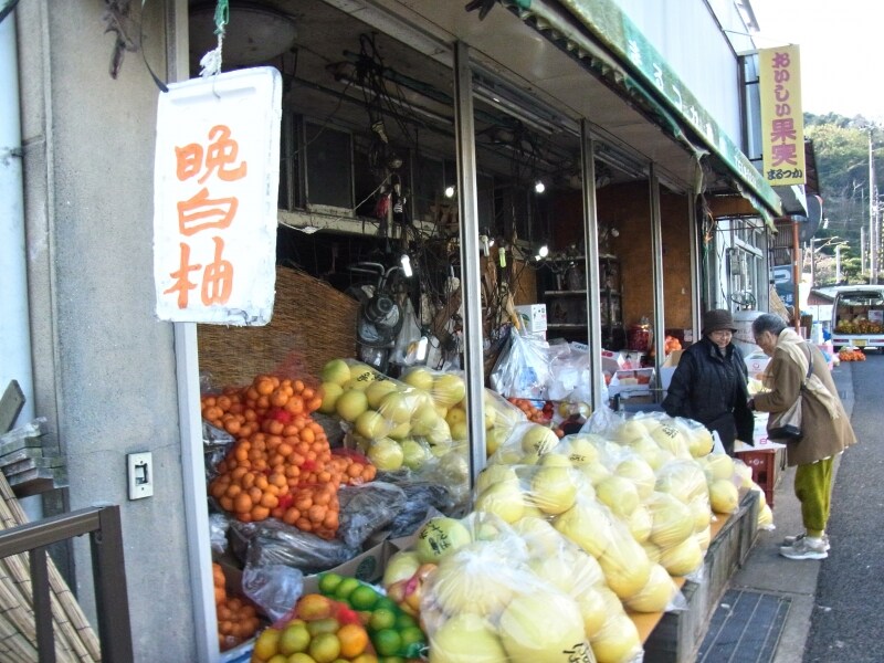金波楼