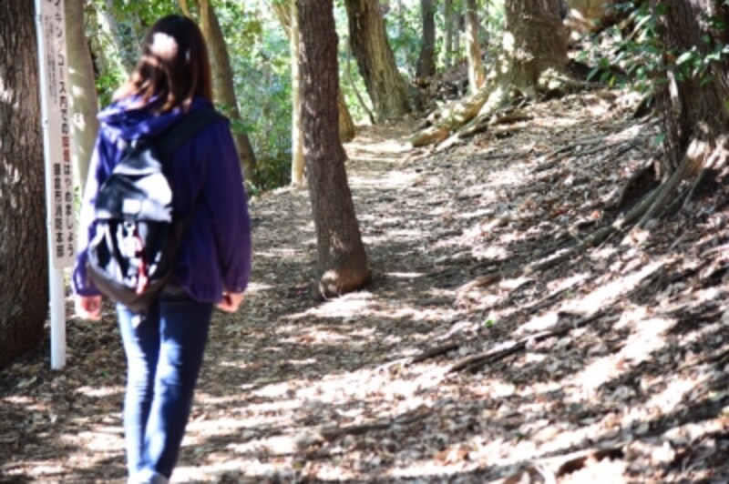 自然豊かなハイキングコースを歩いて