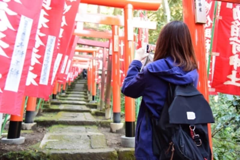 佐助稲荷神社参道の鳥居をスマホで撮影！