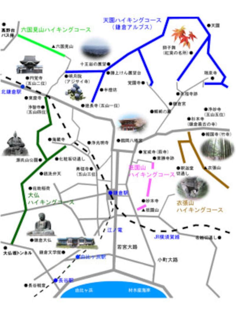 葛原ヶ岡(くずはらがおか)・大仏ハイキングコースは緑色のルート 出典:鎌倉紀行