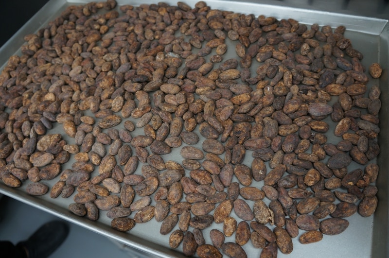 カカオ豆の状態を見て焙煎の時間を調整。コンベクションオーブンで焼き上げる。