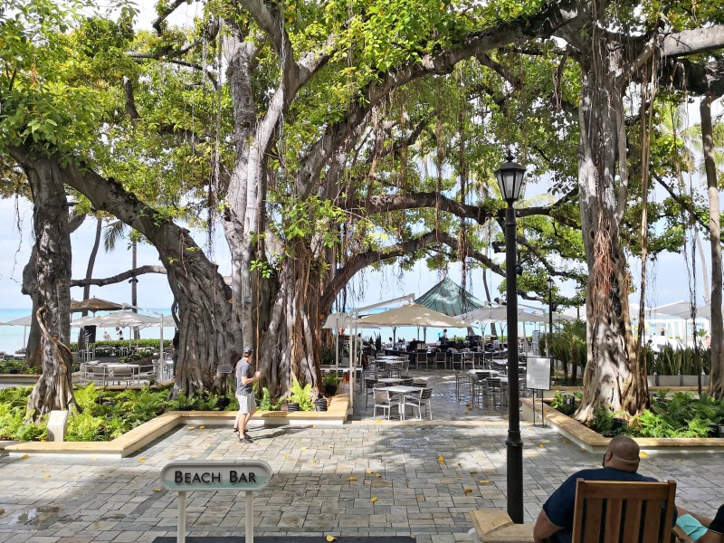 バニアンツリーの下には「ビーチバー」が。夕暮れ時には海を眺めながらロマンティックな時間が過ごせる