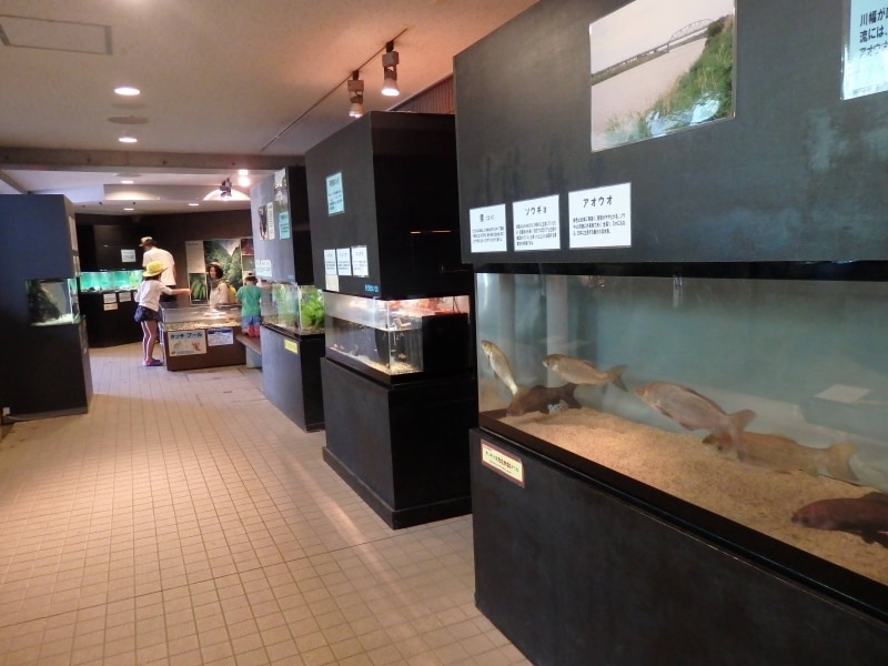 トンネルのような空間の渓流観察窓