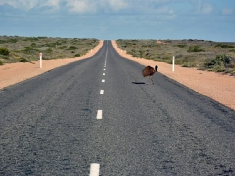 ”大陸”を感じる、まっすぐな道
