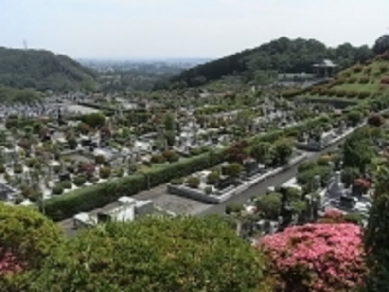 死後離婚、一緒の墓に入りたくない