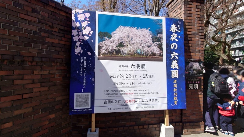 六義園(2)/ライトアップ「春夜の六義園 夜間特別鑑賞」の案内