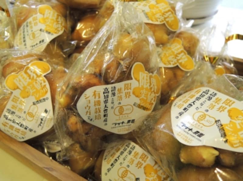 限界突破ショウガ