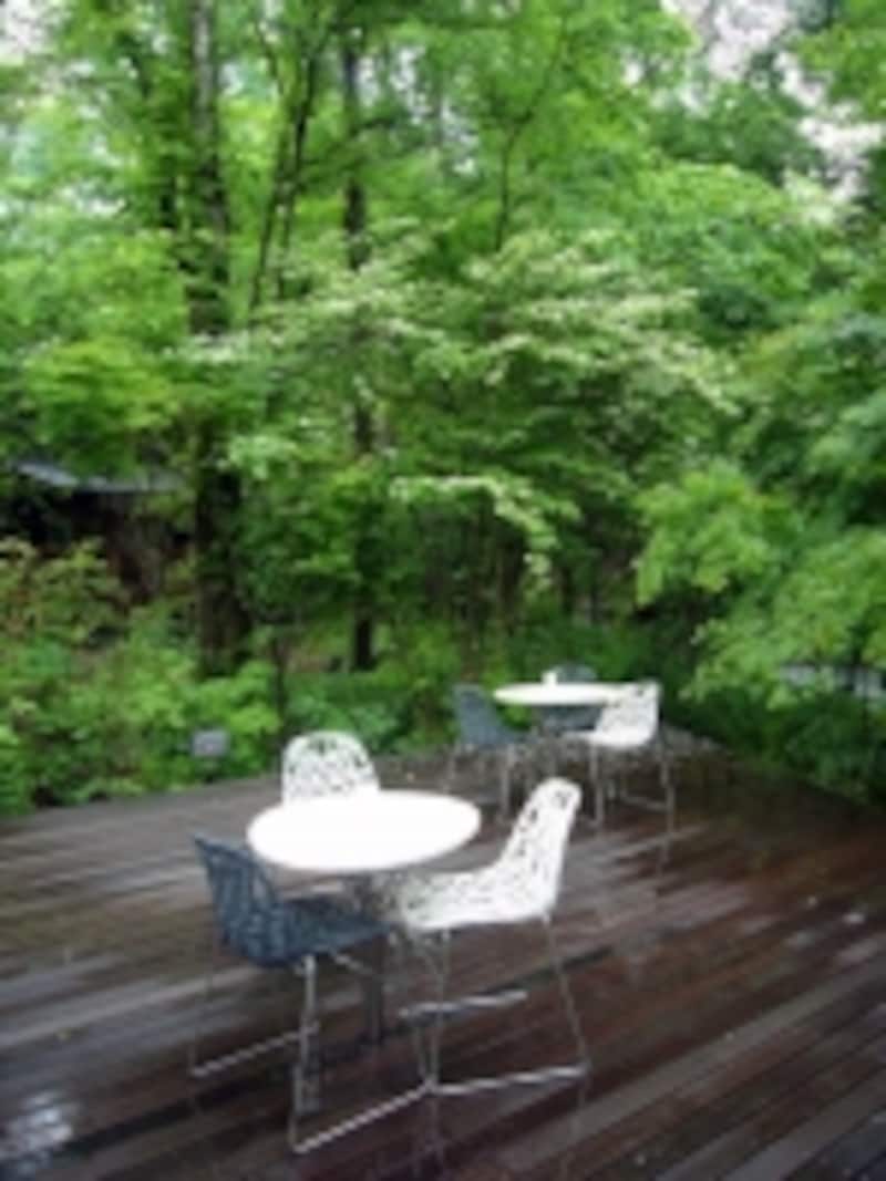 こんなに清流に近いテラス席も！undefined潤いそう！