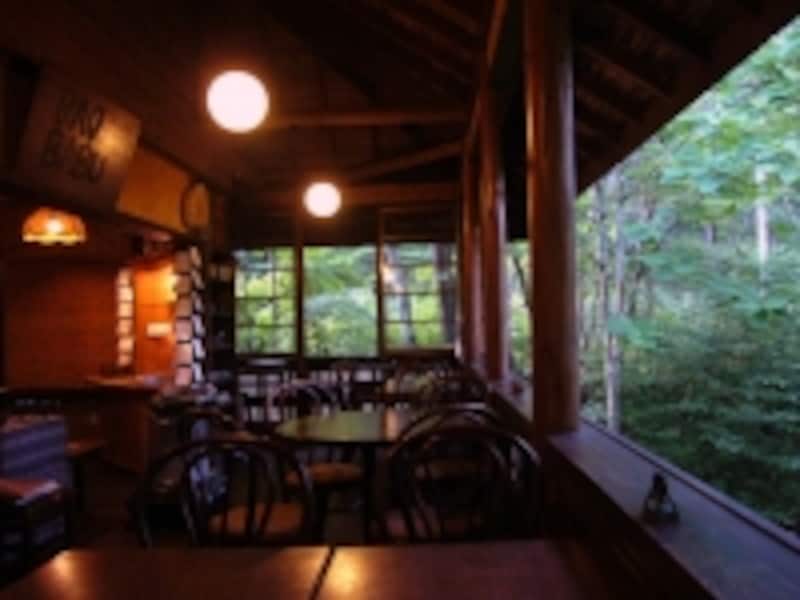 圧倒的な緑の息吹が充満する空間