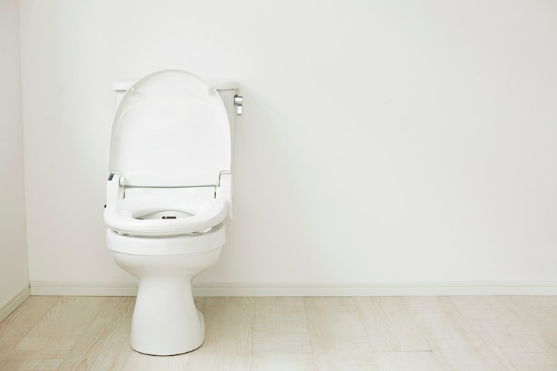 トイレマットはいらない？必要？トイレと雑菌の意外な真実