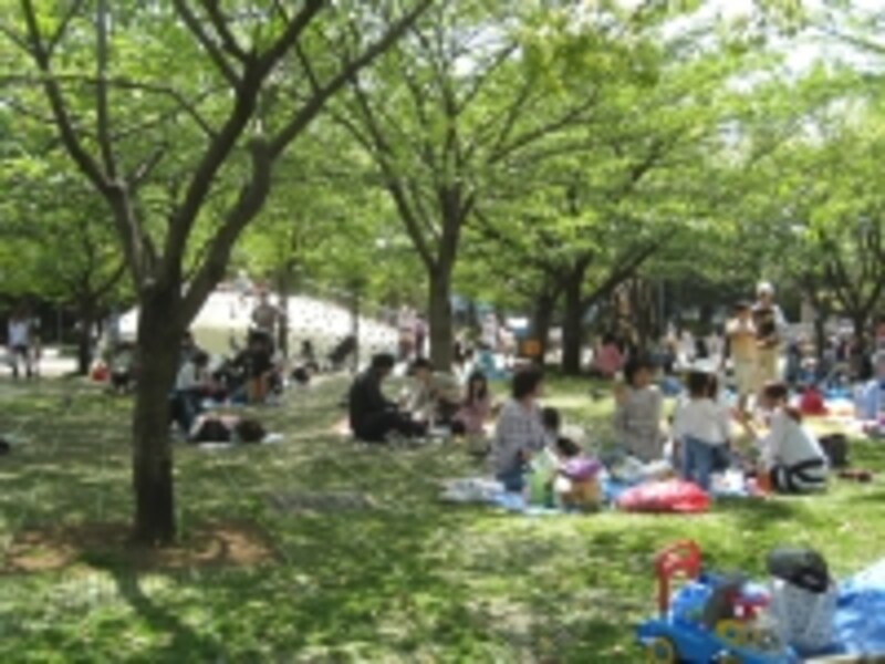 公園はどこも家族連れで賑わっていた。このエリアでは広場やバーベキュースポットなども多く、遊びの場には事欠かない