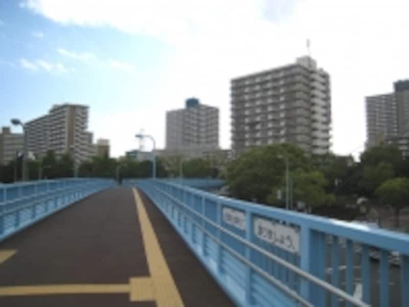 清新町の住宅群。敷地内には公園、スーパーや銀行もあり、きれいに整備されている