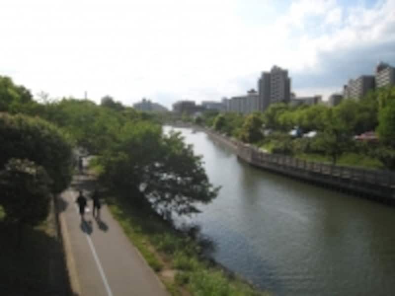 新左近川親水公園。水辺ではジョギング、散歩が楽しめる遊歩道が整備され、貸しボート場もある。駅前の雑然とした雰囲気からは想像しにくいほど自然が一杯のスポット