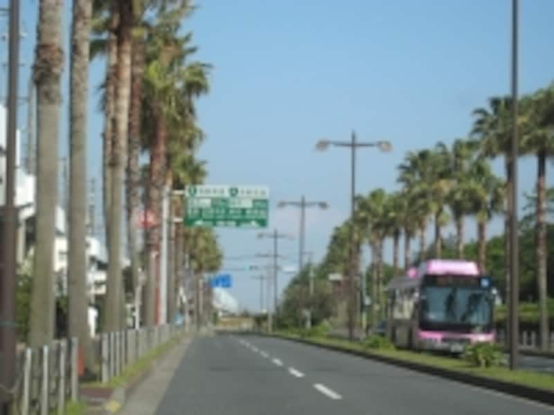 車利用でも便利な西葛西、葛西エリア。ただし、いずれも道路も交通量は多いので、道路近くの住まいを選ぶ時には注意も必要