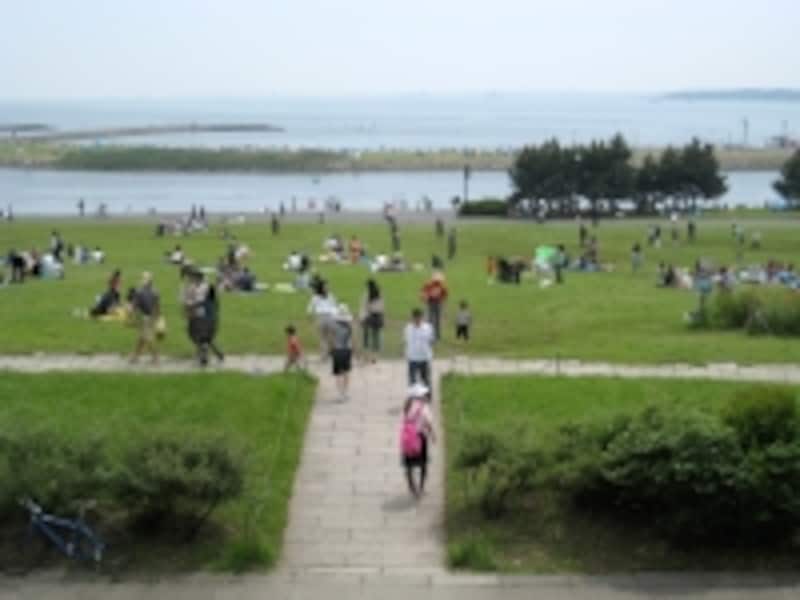 葛西臨海公園から橋を渡ったところにある2つの渚が葛西海浜公園。一般的なアサリのほかにマテ貝なども収穫できる