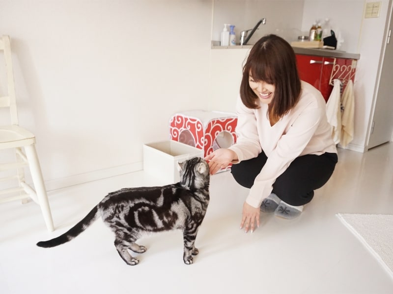 一人暮らしのインテリア