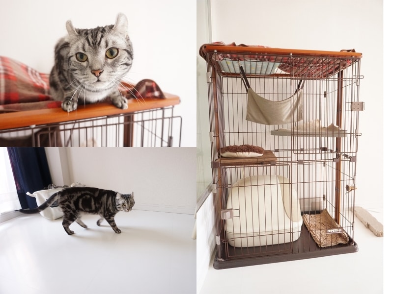 一人暮らしのインテリア