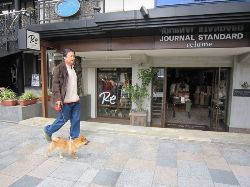 いつもと違う道を歩くなどの習慣も脳の活性化につながるという米山医師