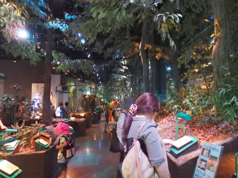 古代蓮会館の１階展示室