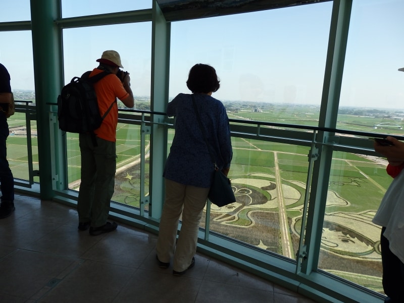 古代蓮会館の展望室から見る世界最大の田んぼアート