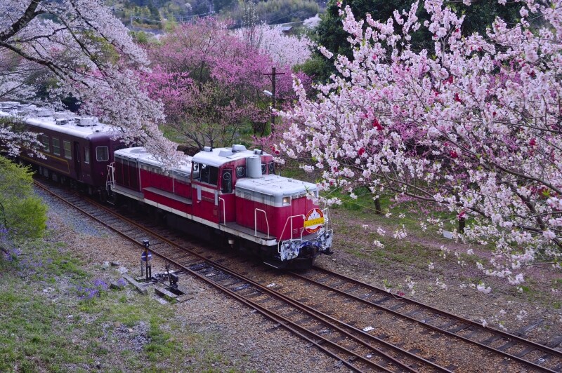 4月に買ってはいけない銘柄は？