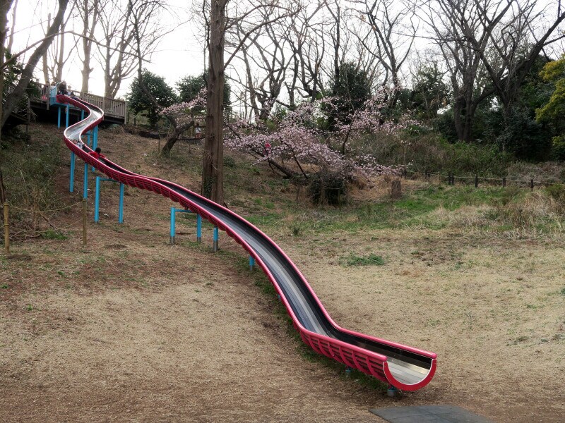 「遊びの森」にあるロングすべり台(2017年3月11日撮影)