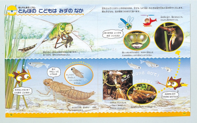 こどものずかんMio