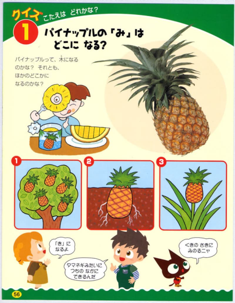 こどものずかんMio