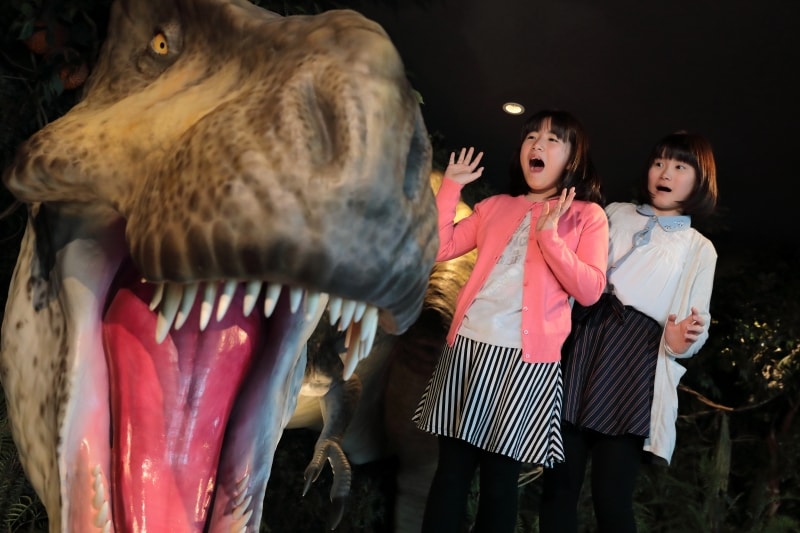 ティラノサウルスの模型