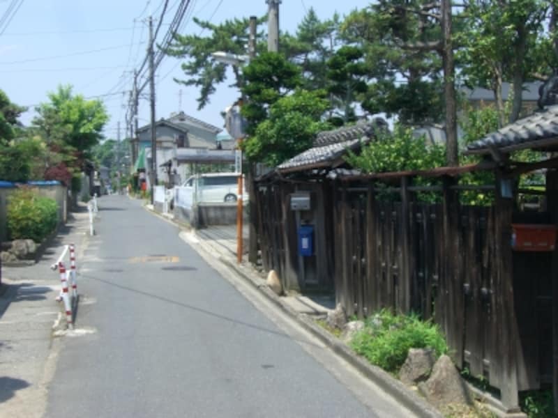 寺の南側・西側を中心に、日本の原点のような景色が広がる