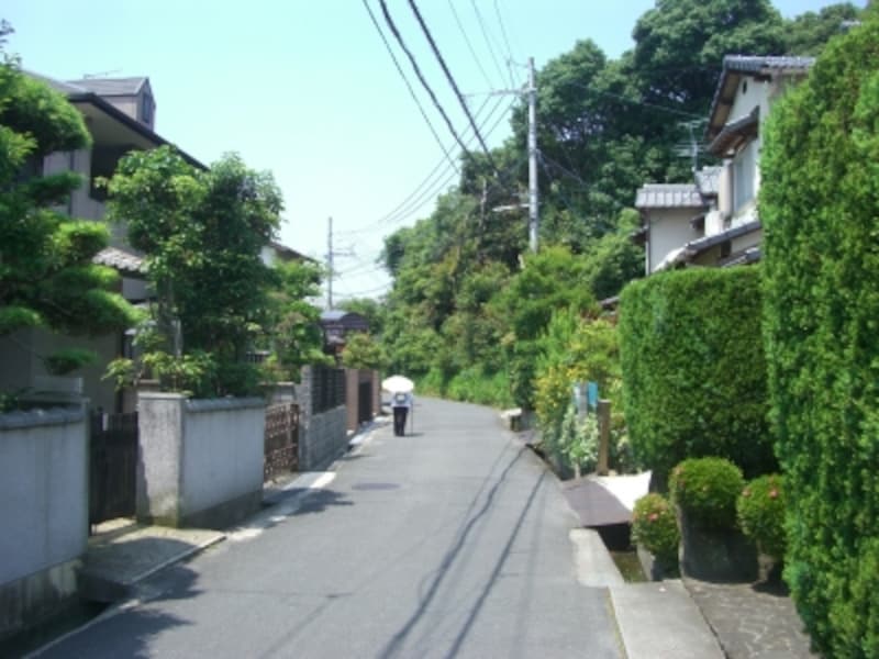 小さな神社がある里山。駅前とはもはや別世界。