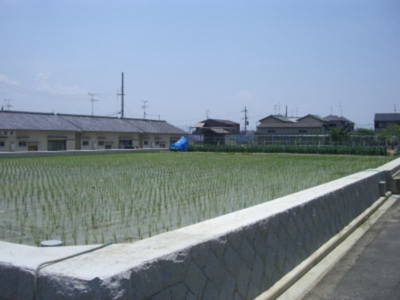 駅から3～4分程度南を中心に広がる区画整理進行中エリア。田も多く残る。