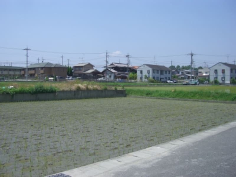 畑ではなく、田が多く残る。まだまだ沢山残る。