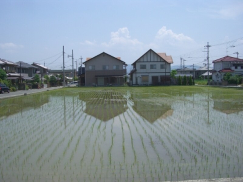 田はやがて住宅地へと変わっていく。変遷中のエリアはこんな様子。