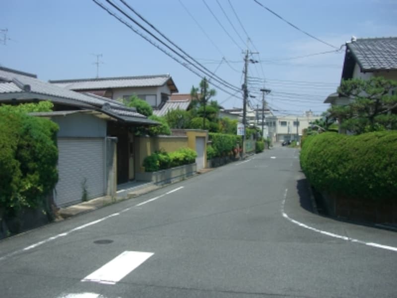 どちらのお宅も植栽が立派