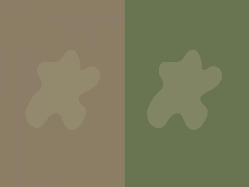 アースカラーは砂・泥汚れが目立ちにくい