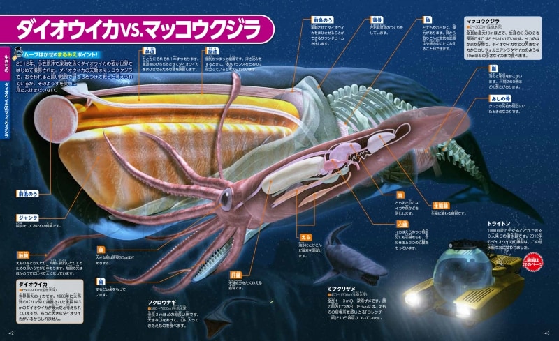 中ページ画像