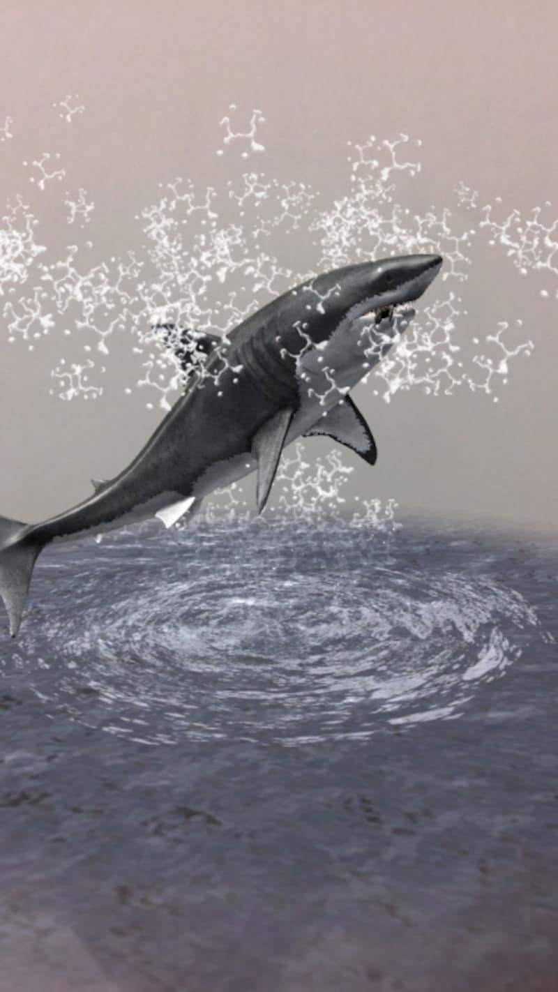 AR画像