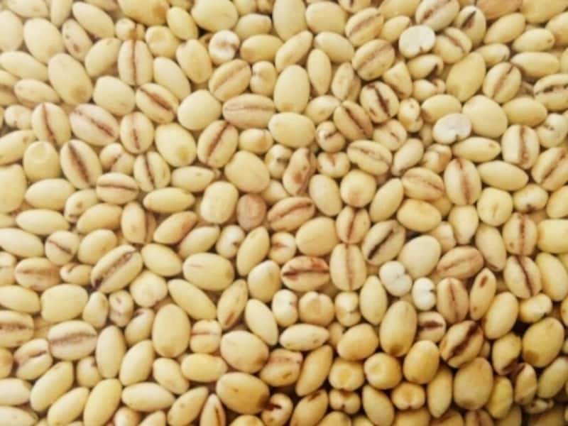 話題のもち麦はプチッモチッとした食感です