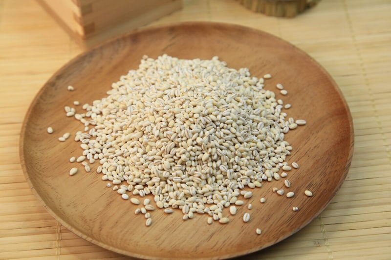 もち麦の栄養・炊き方……毎日食べたいダイエットの味方