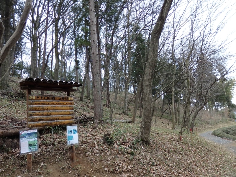 トトロの森3号地