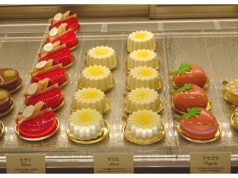 「オクシタニアル」のショーケース