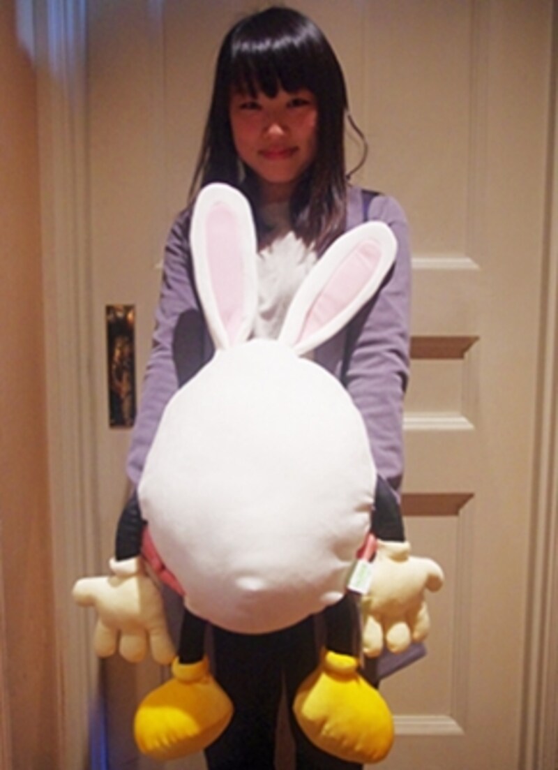 東京ディズニーランドのグッズ