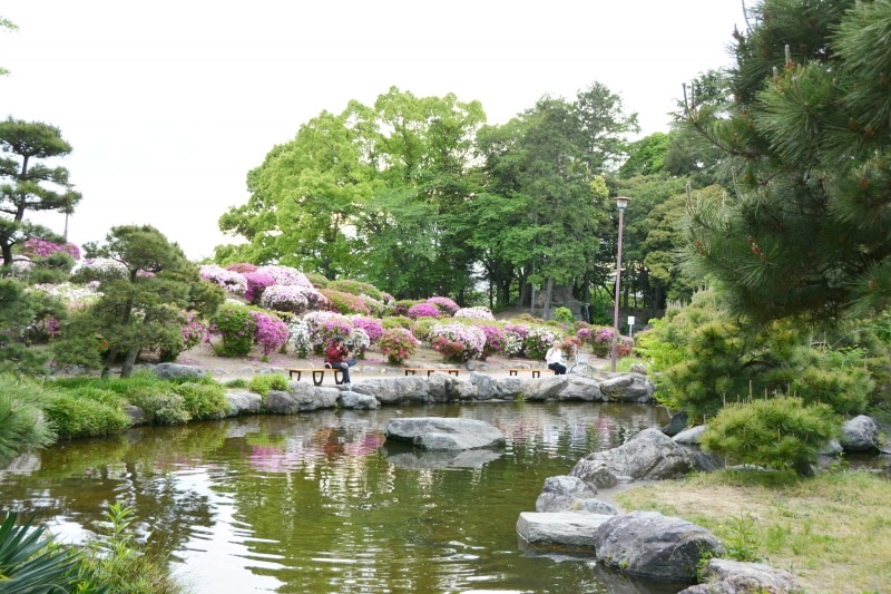 四季折々の色彩で包まれる水城公園