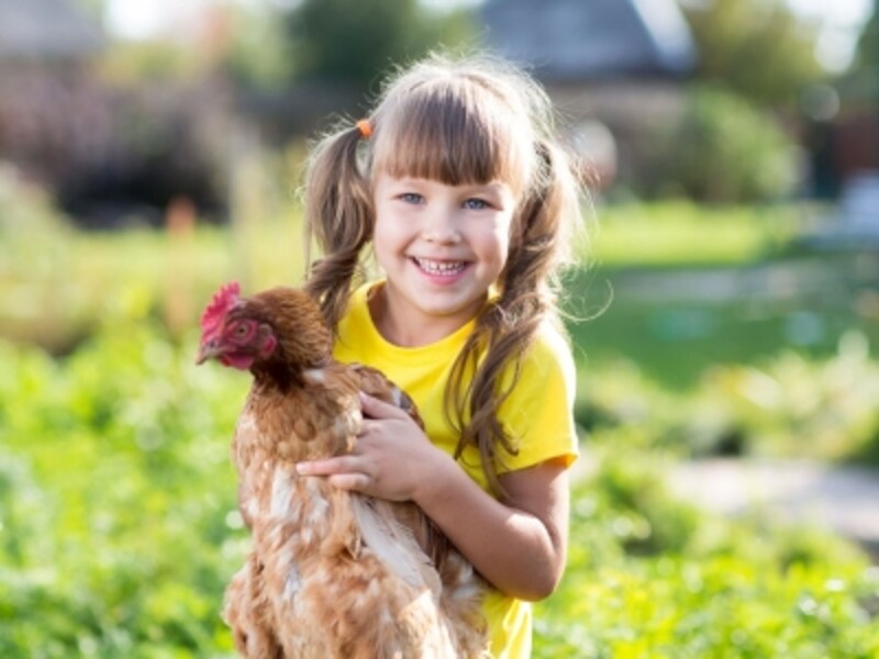 スイスのオプショナルツアーundefinedベルトラ