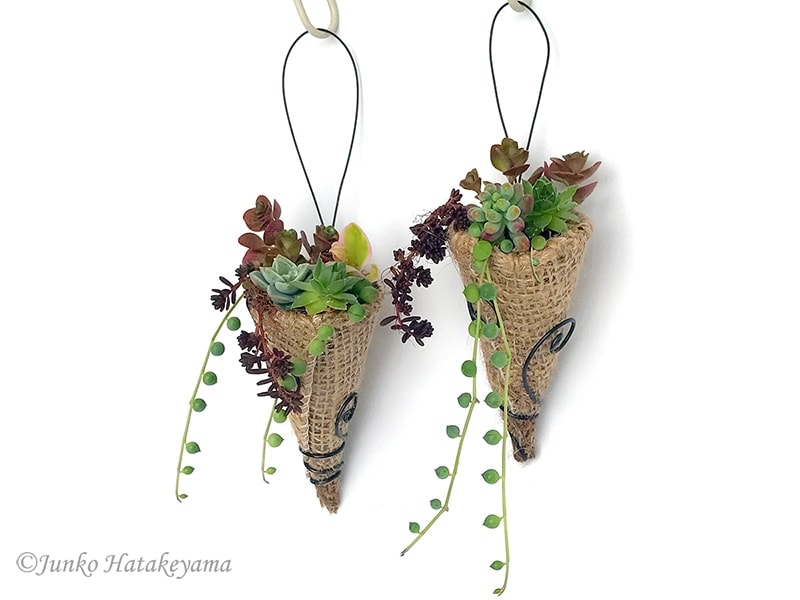 多肉のミニハンギング
