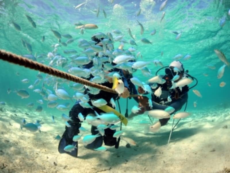 サイパンのオプショナルツアーundefinedベルトラ