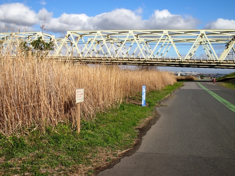 この景色は当分かわらないかも
